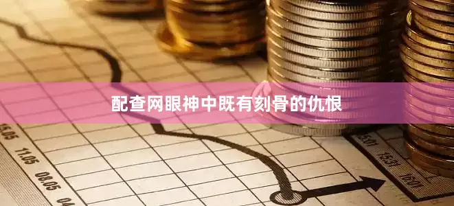 配查网眼神中既有刻骨的仇恨