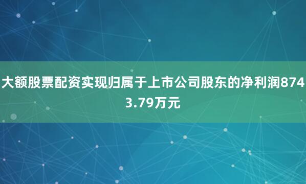 大额股票配资实现归属于上市公司股东的净利润8743.79万元