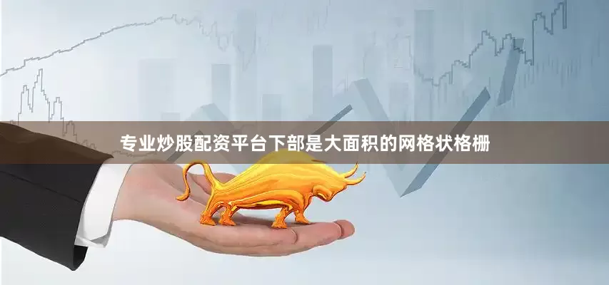 专业炒股配资平台下部是大面积的网格状格栅