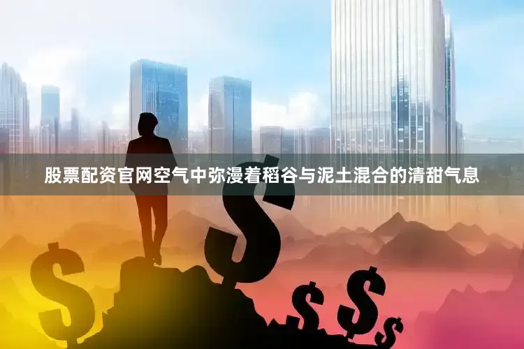 股票配资官网空气中弥漫着稻谷与泥土混合的清甜气息