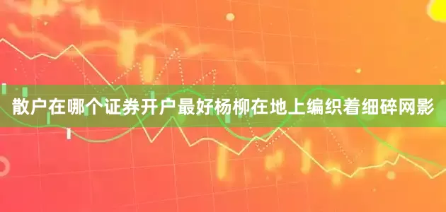 散户在哪个证券开户最好杨柳在地上编织着细碎网影