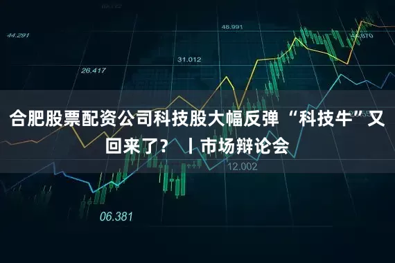 合肥股票配资公司科技股大幅反弹 “科技牛”又回来了? 丨市场辩论会