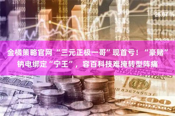 金橘策略官网 “三元正极一哥”现首亏！“豪赌”钠电绑定“宁王”，容百科技难掩转型阵痛