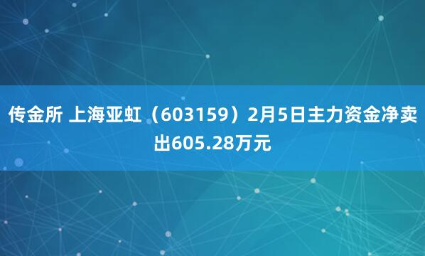 传金所 上海亚虹（603159）2月5日主力资金净卖出605.28万元